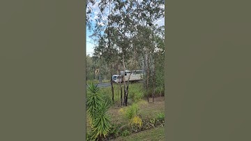#horses #trucks #caravans#australia