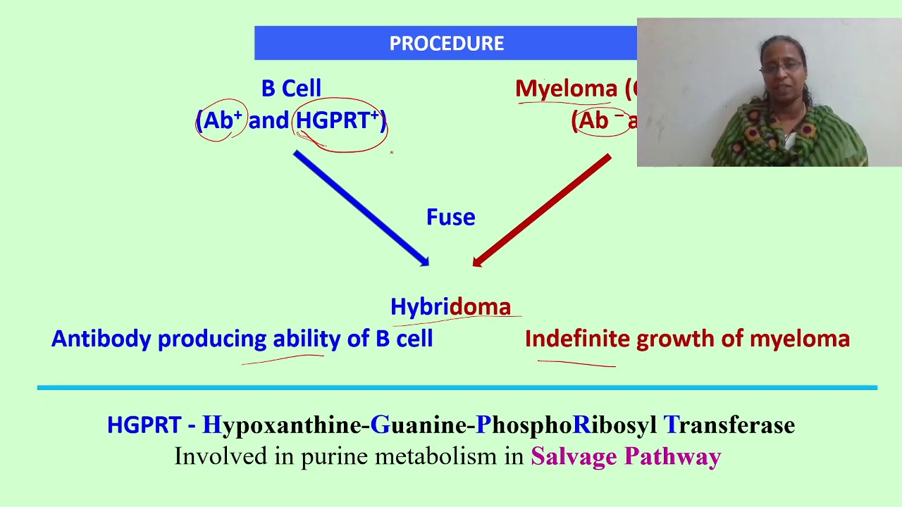 Monoclonal Antibodies (Tamil) YouTube