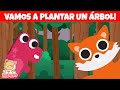 🌲🌳🌴🎄 Vamos A Plantar Un Árbol! 🌎 Cuidar la tierra para niños | HiDino Canciones Para Niños