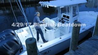 Bluefish Beatdown 4/29/17