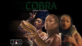 Megan Thee Stallion - Cobra [Sped Up Version]