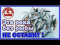 Свияга без рыбы не отпустит 🎣