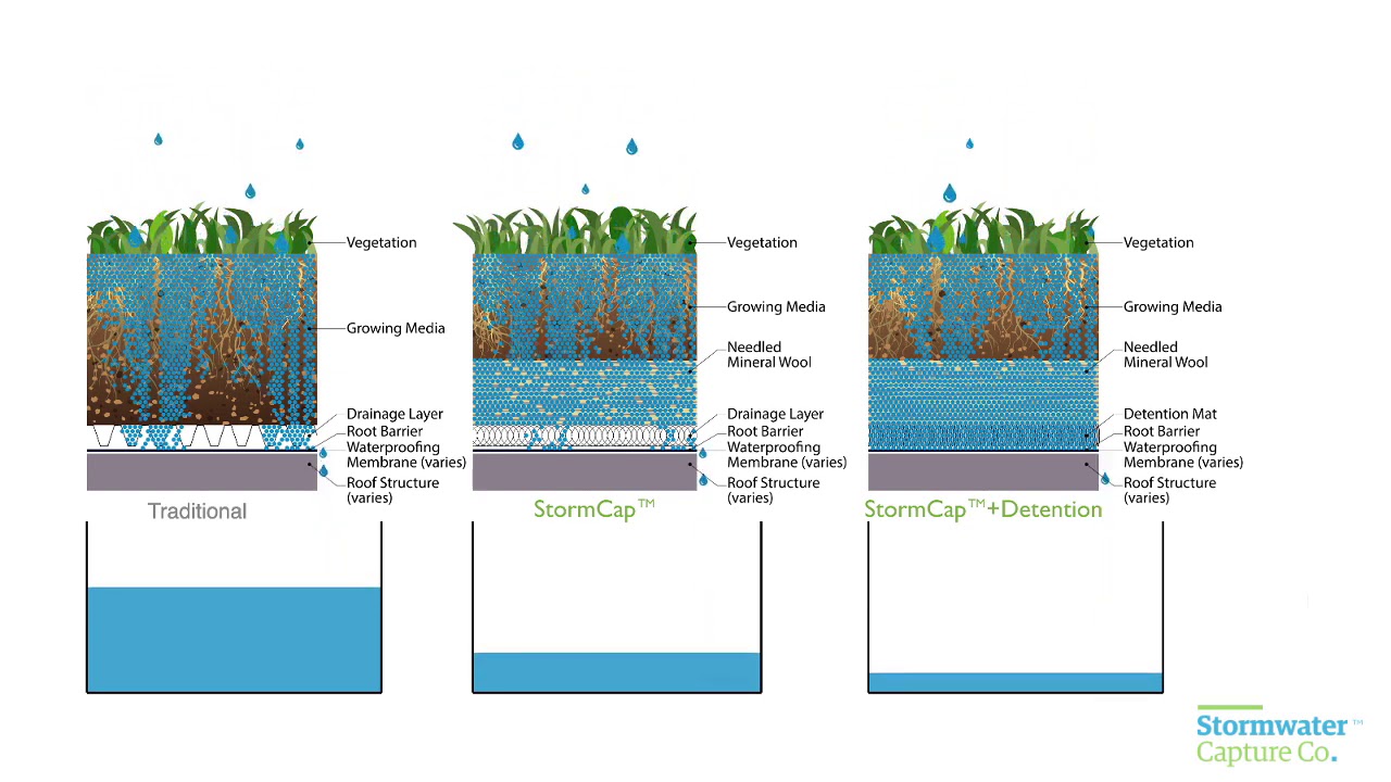 StormCap™+Detention: Innovative Green Roof that Detains Stormwater from Back to Back Storms