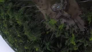 Palmentuin Suriname