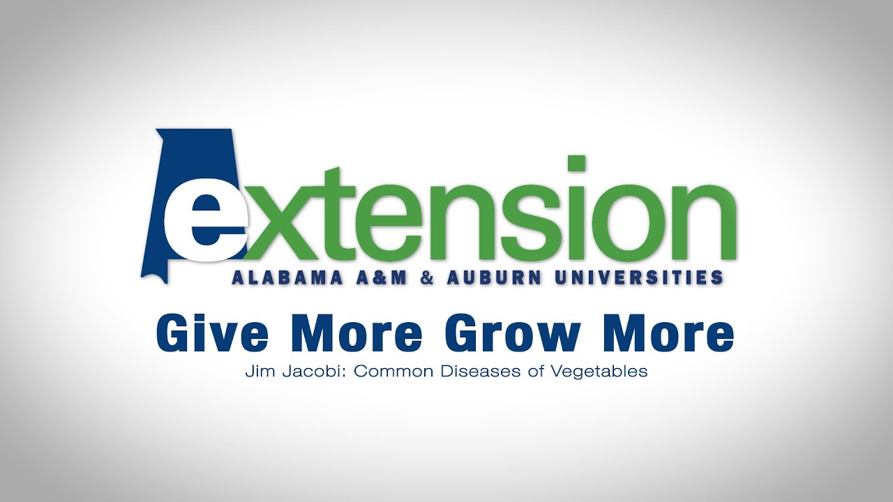 ⁣Jim Jacobi: Common Diseases of Vegetables