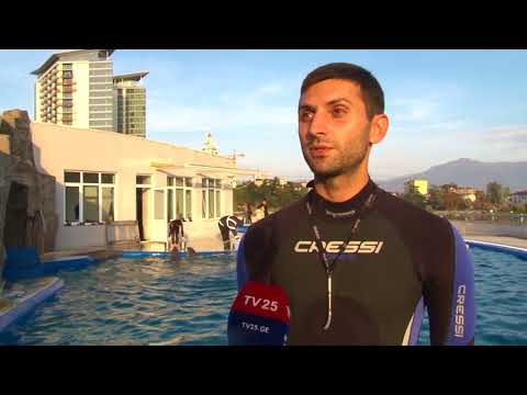 პატარა ამბები - დელფინარიუმი