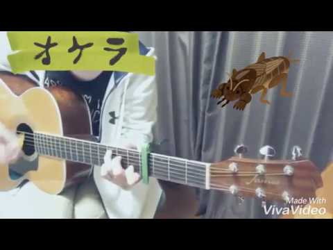 スピッツ『オケラ』弾き語りカバー
