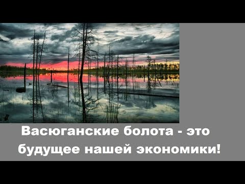 Васюганские болота – это будущее нашей экономики!