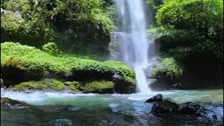 RELAKSASI AIR TERJUN DI DALAM HUTAN - SUARA GEMERCIK AIR & SUARA BURUNG LIAR