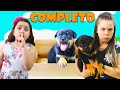 A HISTORIA DO CACHORRO ABANDONADO COMPLETO