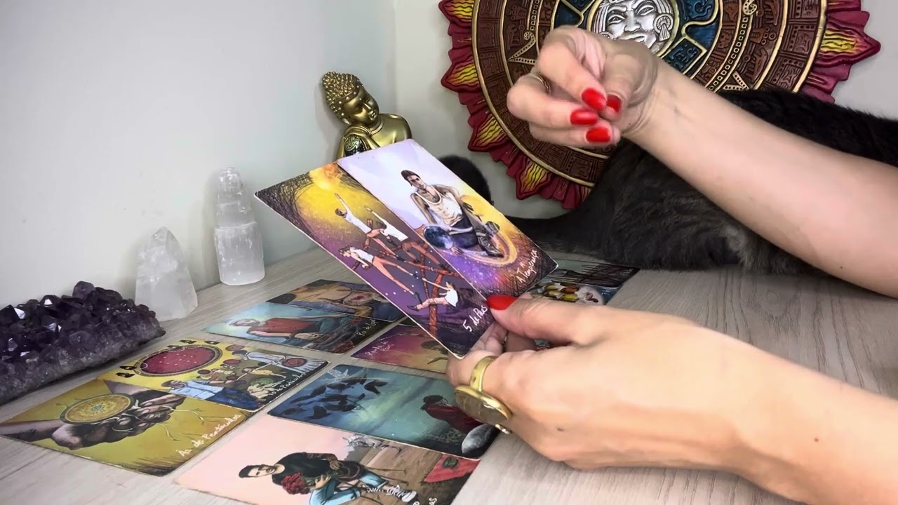 Como está em relação a mim hoje? Como acha que estou em relação a ele/ela? TAROT 🔮
