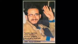 Kuzum (Hasret Gültekin) Resimi