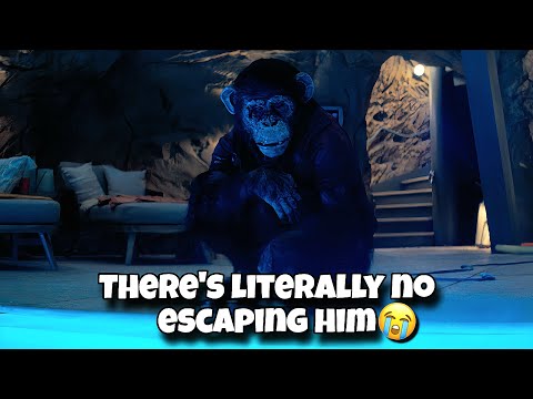 Primate Is FULL Of IDIOTS | Primate