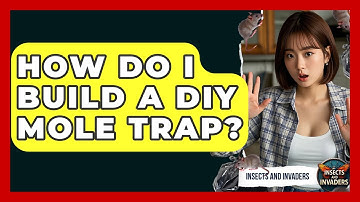 How Do I Build A DIY Mole Trap? - Insects and Invaders