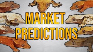 Crested Gecko Market Predictions For 2024!