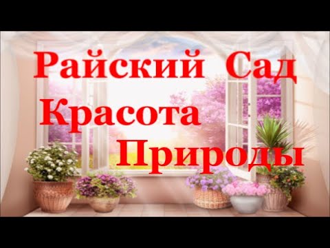 Восхитительный Цветущий Сад Красота Природы Райский Сад Delightful Blooming Garden Nature Beauty