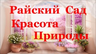 Восхитительный  Цветущий  Сад  Красота Природы Райский Сад  Delightful Blooming Garden Nature Beauty