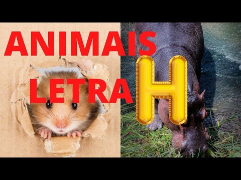 BICHOS COM H/ANIMAIS QUE COMEÇAM COM A LETRA H DO ALFABETO PORTUGUÊS/ ANIMAIS QUE COMEÇAM COM H.