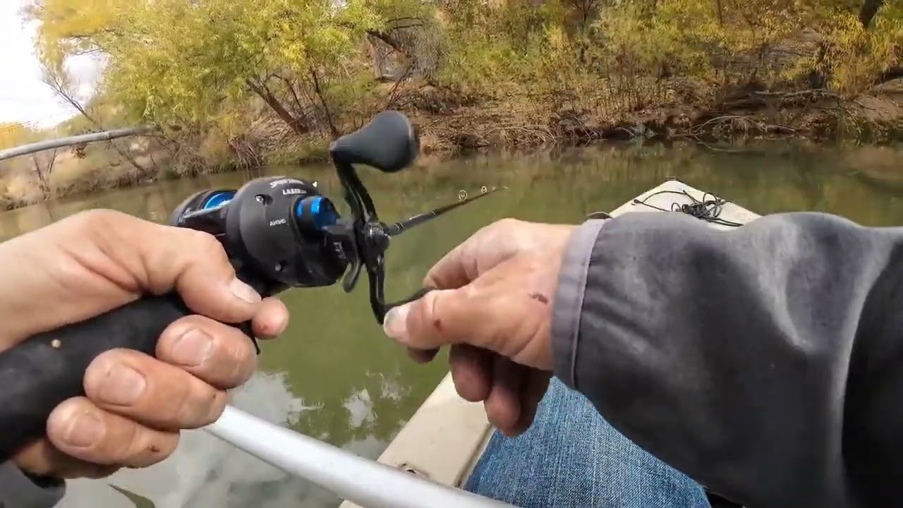 tavasi Marsh swimbait bass fishing