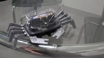 Table Top Robot Review