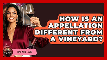 How Is an Appellation Different From a Vineyard? - Fine Wine Facts