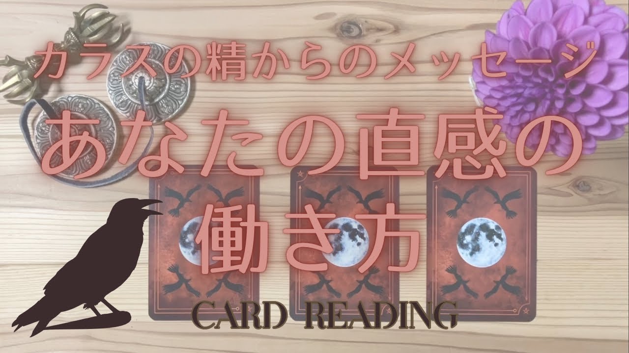 【3択】直感力に関する理解を深めたい方へ🔮カラスの精からのメッセージ🐦‍⬛あなたの直感の働き方✨