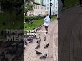 Мысли в слух... Привет ютюб!