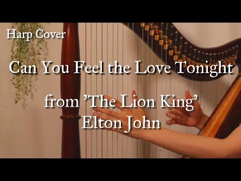 【34弦ハープでカバー】『Can You Feel the Love tonight/Elton John』～from 'The Lion King'～