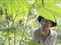 中村桂子の生物進化４０億年の旅　（１）中村桂子の生物進化４０億年の旅