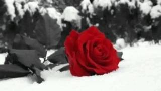 Cristian Castro - Por Amarte Asi (with lyrics)