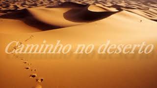 FERNANDINHO, CAMINHO NO DESERTO