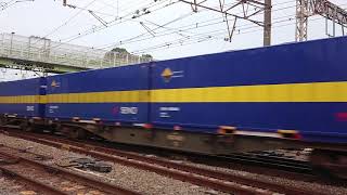 【EF66 100番台】【カンガルーライナーSS60】 EF66-105 牽引 貨物列車 2058レ カンガルーライナーSS60 2019年6月7日 花月園前踏切