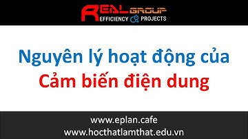 Real Group | Nguyên lý hoạt động của cảm biến tiệm cận loại điện dung
