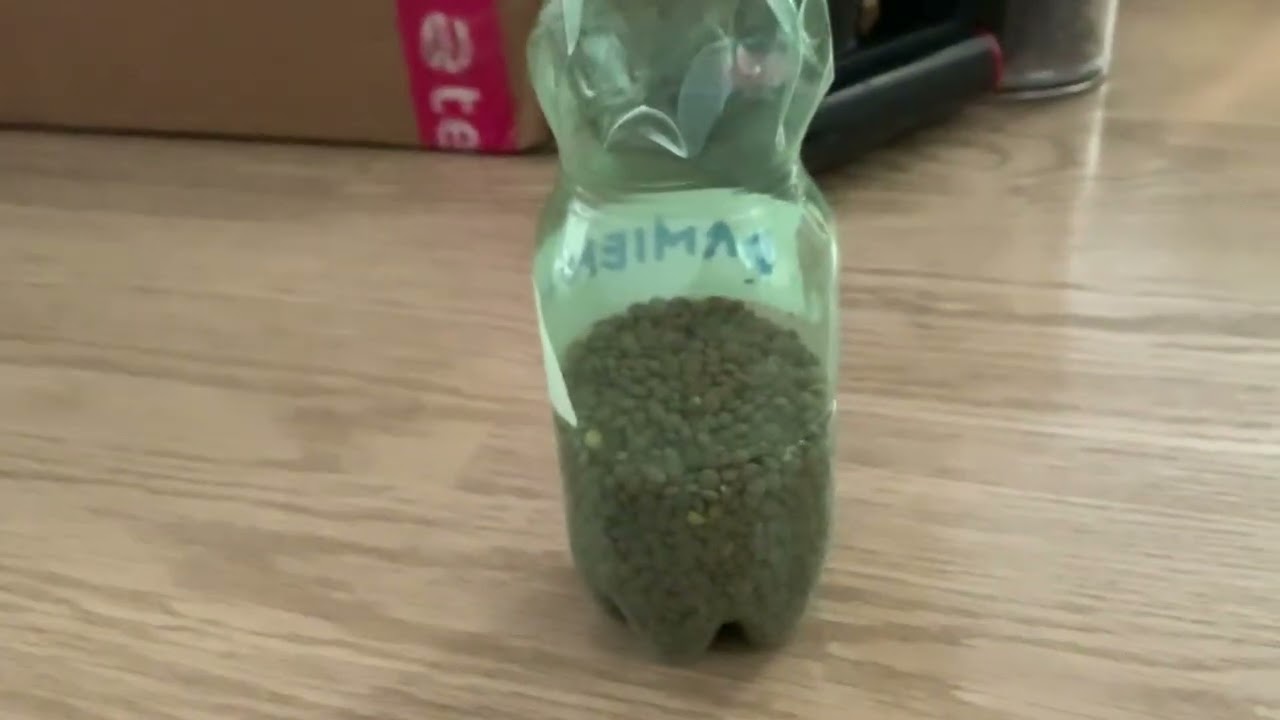 Cary: the annoying car that always want to drive / Part 1