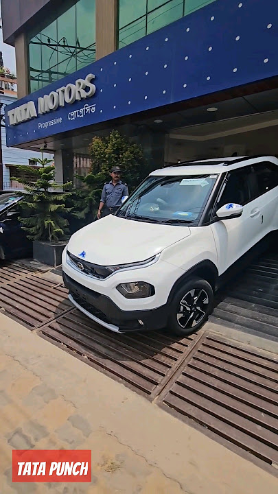 Tata Punch Top Model CNG #tata #tatapunch