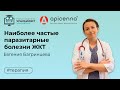 Наиболее частые паразитарные болезни ЖКТ кошек и собак и мой подход к ним. Лектор Евгения Багринцева