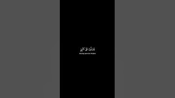 كروما شاشة سوداء قرآن كريم 🍀 محمد ايوب 🍀 سورة الأحزاب  #تلاوة_هادئة #اكسبلور #قران_كريم