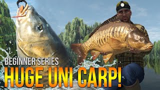 [Lvl.50] Weeping Willows UNIQUE Carp! Method Leads & More! | Fishing Planet