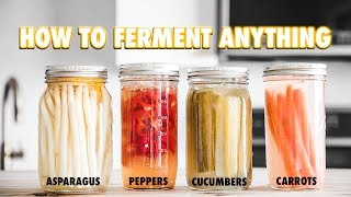 The Guide to LactoFermentation: How To Ferment Nearly Anything