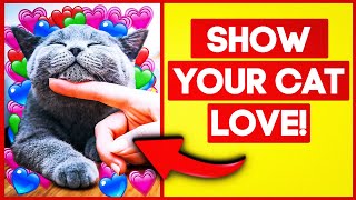 12 Ways To Let Your Cat Know That You Love Them! by Cat Nation 2,198 views 1 year ago 11 minutes, 10 seconds