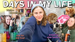 DAILY VLOG: my new fav Aldi find, prepping the dogs slow feeders, bike rides, &amp; small biz thoughts?