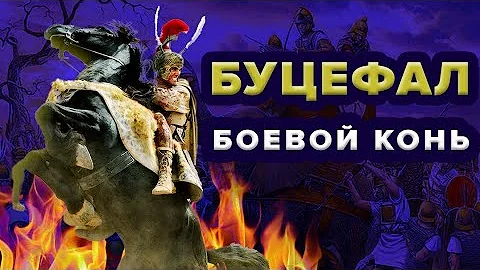 Буцефал - боевой конь Александра Македонского!