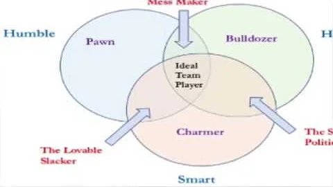 Ignite Leader Training - The Ideal Team Player