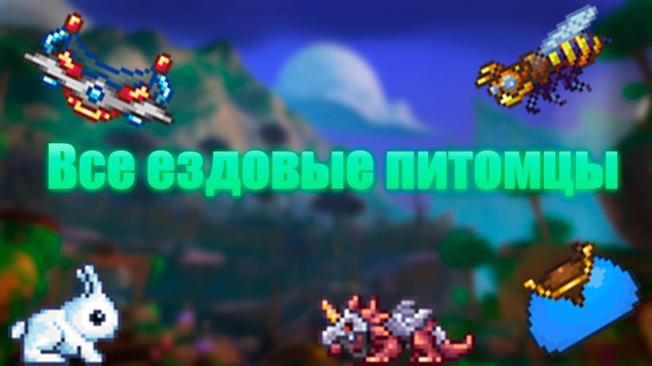 Музыкальная шкатулка террария. Terraria ездовые питомцы. Маунты террария. Ездовые животные террария. Наездные питомцы в террарии.