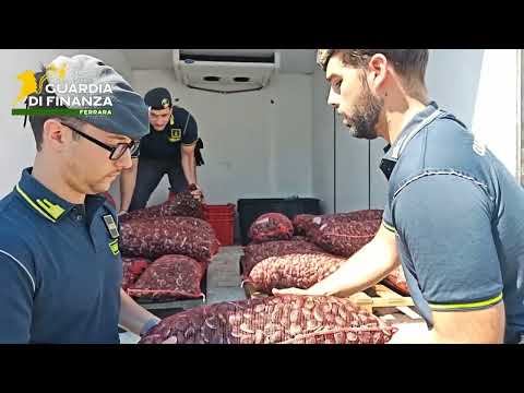 Video Ferrara, arresto per traffico di vongole contaminate e intestazione fittizia