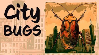 City Bugs are your secret neighbors 🐜🦗 bonus DOWNLOADS by Socratica Kids 2,118 views 1 month ago 11 minutes, 30 seconds