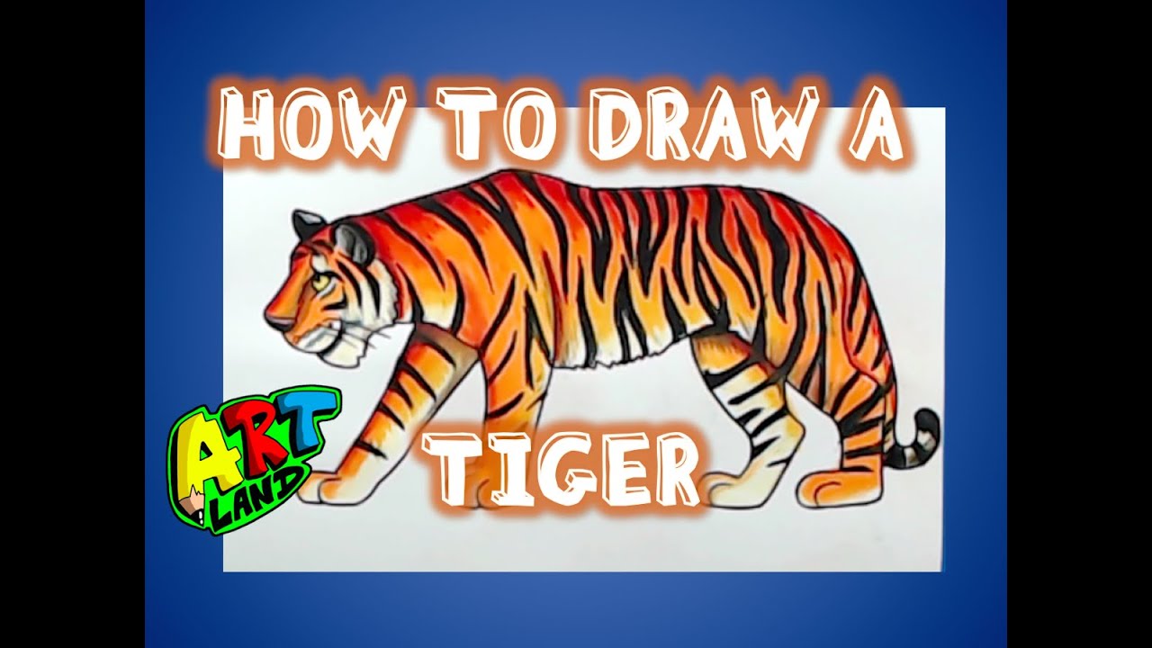 How To Draw A Bengal Tiger, Draw Tigers, Step by Step, Drawing Guide, by  MichaelY - DragoArt