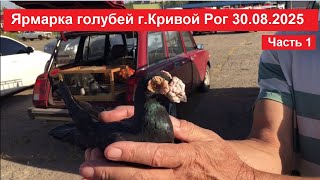 :      .   30.08.2025.  1