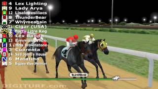 Virtual Horse Racing Game - Real Money screenshot 4
