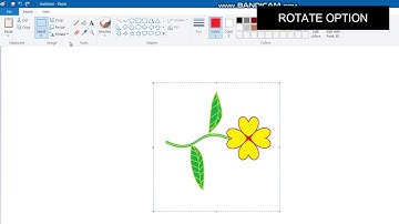 Copying, Skewing, Resizing, Rotating and Flipping any Object in Ms Paint